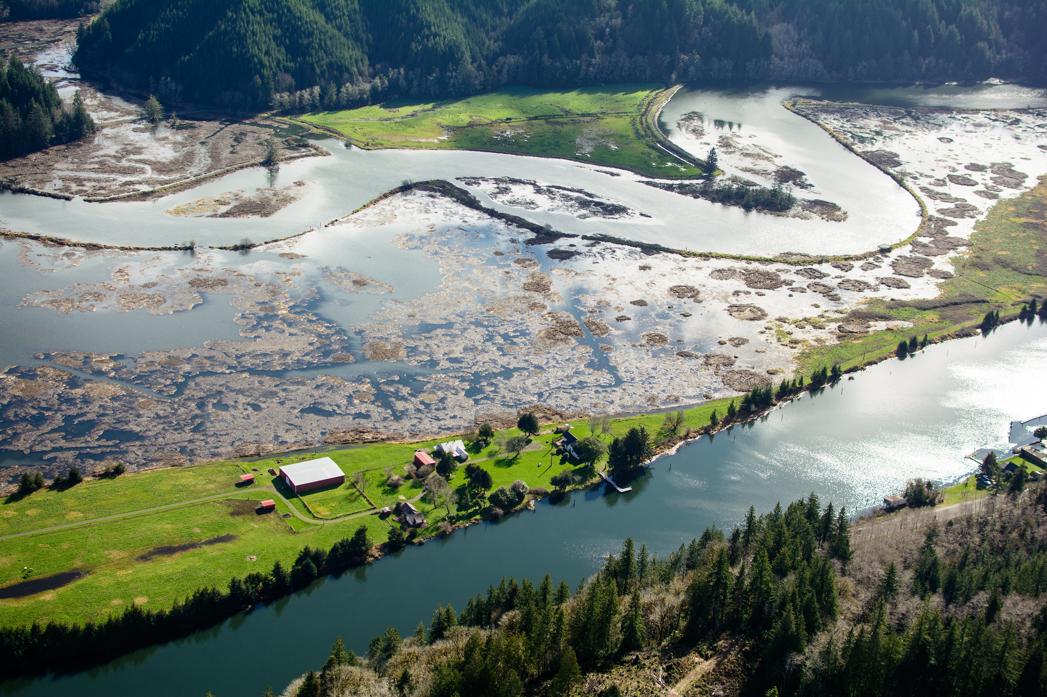 Duncan Island Siuslaw River.jpg FWS.gov